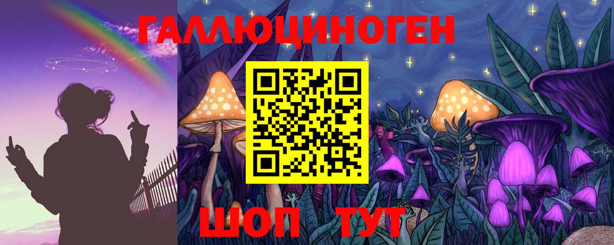 Галлюциногенные грибы Psilocybine cubensis  Псилоцибиновые грибы ЛСД  Курчатов  Вход с VPN 